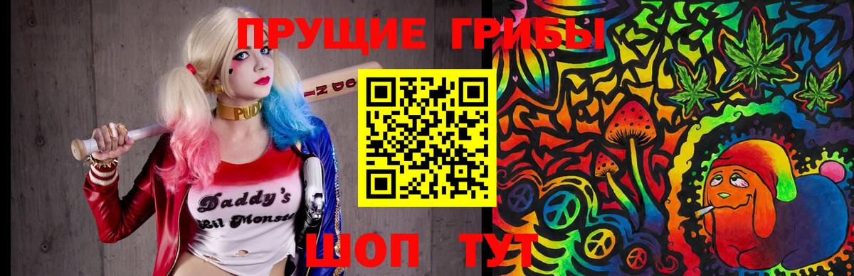 Псилоцибиновые грибы MAGIC MUSHROOMS  Псилоцибиновые грибы Cubensis  цена наркотик  Вход с VPN  Тихвин 