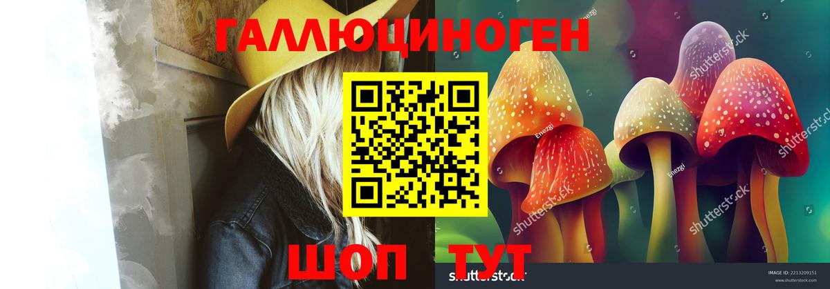 Псилоцибиновые грибы GOLDEN TEACHER Тихвин