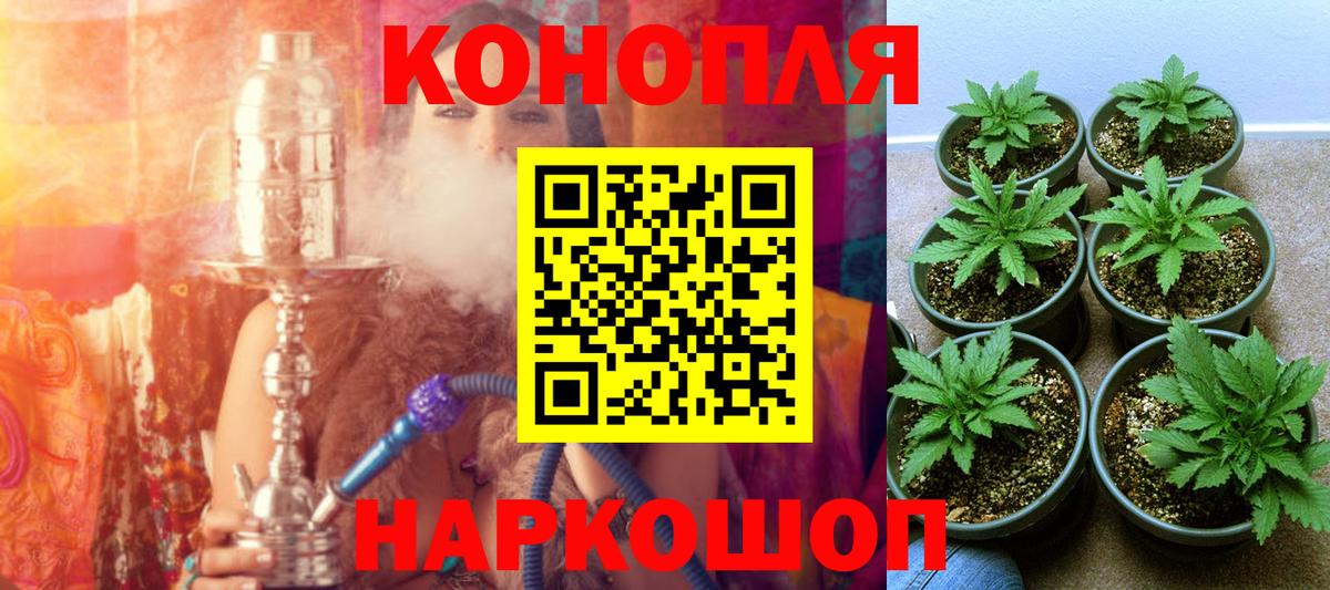 Бошки Шишки марихуана Тихвин